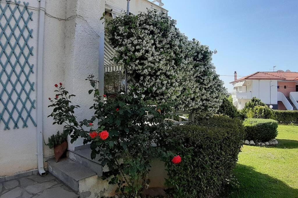 KLEO HOUSE Kalives Polygyros Halkidiki Villa Kalyves Polygyrou Exterior foto